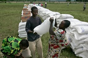 El lapidario informe de la ONU sobre las sequías en el mundo: Fenómeno empuja a decenas de millones de personas hacia la hambruna