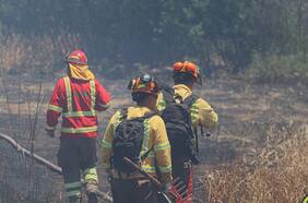 Alerta roja: Conaf combate incendio en Lonquimay que ya ha consumido más de 470 hectáreas