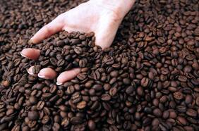 Columna de Paulo Pacheco: “Día del Café, conectando a Brasil con Chile y el mundo”