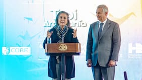 “Discusión egoísta” y “pelea chica”: el descargo de la ministra de Salud en medio de crispado ambiente por megarreforma