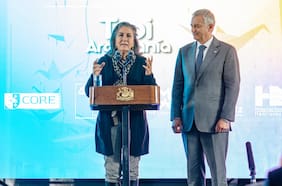 “Discusión egoísta” y “pelea chica”: el descargo de la ministra de Salud en medio de crispado ambiente por megarreforma