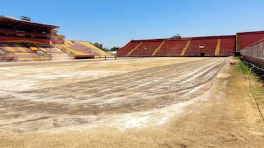 ¿Por qué la cancha del Santa Laura no tiene pasto? La explicación para el impactante estado del campo de Unión Española