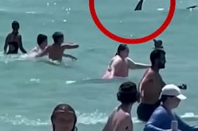 Tiburón aterroriza a bañistas (y a otros no tanto) en una playa de Florida