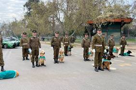 Parada Militar 2023: revisa las postales de la ceremonia y el desfile de cachorros policiales