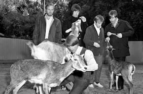 Pet Sounds: la joya de la corona de Brian Wilson y los Beach Boys