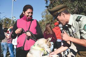 Carabineros realizará corrida familiar canina este domingo en el Parquemet