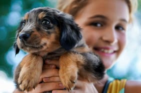 Niños y mascotas: los beneficios de criar con animales