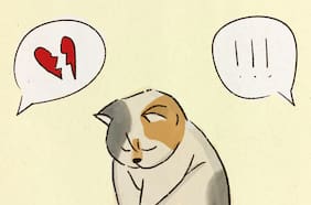 ¿Con quién se queda el perro? Las parejas que se separan pero tienen mascotas juntos