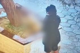 Pedían prisión preventiva: hombre queda con arraigo y firma por golpear a su perro en calle de La Tirana