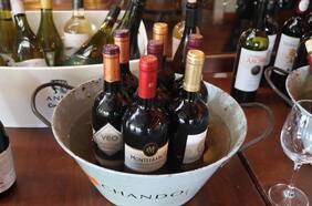 Una fiesta gratuita del Día del Vino se tomará la Plaza Ñuñoa