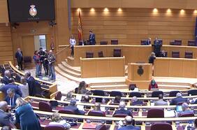 España: Partido Popular rechaza en el Senado ley que podría beneficiar a presos de ETA y la devuelve al Congreso