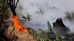 Tribunal rechaza prisión preventiva para imputado de 72 años acusado de iniciar incendios forestales en Curicó