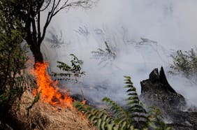 Por incendio forestal: solicitan evacuar dos sectores de la comuna de Pitrufquén