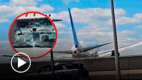 Un avión de United Airlines con 221 pasajeros chocó contra un camión en plena carretera