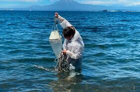 “Es preocupante”: estudio alerta sobre altos niveles de contaminación en el lago Llanquihue