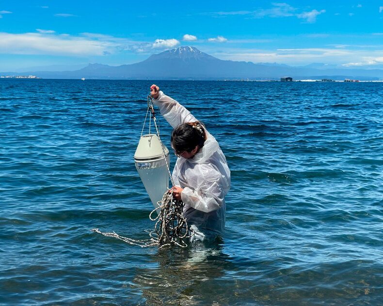 Lago Llanquihue