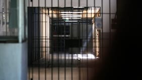 Parlamentarios PPD promueven reforma constitucional para eliminar el indulto presidencial