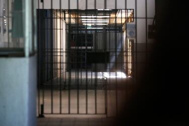 Parlamentarios PPD promueven reforma constitucional para eliminar el indulto presidencial