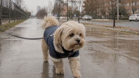 Nublado y con probabilidad de lluvia: el tiempo hoy en la Región Metropolitana y la zona central