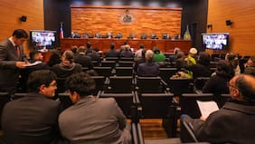 Organizaciones medioambientalistas exponen ante el TC contra la megarreforma: “Entrega un regalo regulatorio a empresas”