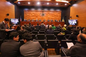 Organizaciones medioambientalistas exponen ante el TC contra la megarreforma: “Entrega un regalo regulatorio a empresas”