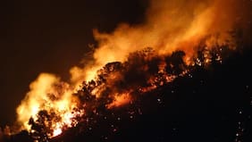 Decretan arresto domiciliario total y arraigo nacional para imputado por incendio forestal en San Pedro de Melipilla