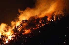 Decretan arresto domiciliario total y arraigo nacional para imputado por incendio forestal en San Pedro de Melipilla