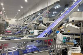 Camanchaca cierra división dedicada al cultivo de Abalones ante malos resultados