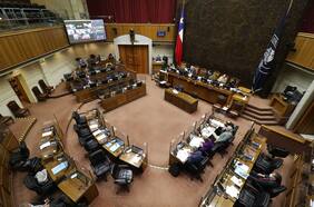 Cómo se gestó la carta de más de 120 académicos al Senado para que se rechace el cuarto retiro