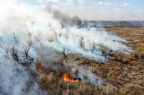Incendios intencionales arrasan con 100.000 hectáreas de reserva natural en Argentina
