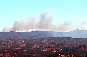 Incendio forestal afecta a Reserva Nacional Lago Peñuelas en Valparaíso