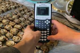 Un youtuber instaló Doom en una calculadora del 2004 potenciada por un montón de papas cocidas