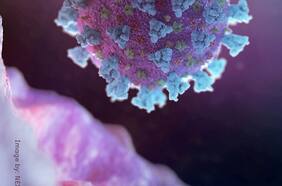 “Perturbador”: Ómicron no mató a Delta y científicos temen nueva ola mundial por regreso de variante dominante en 2021