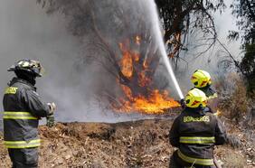 Llaman a evacuar sector de Vilcún tras avance de incendio forestal