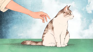 Hablemos de amor: aprender a amar como se ama a un gato