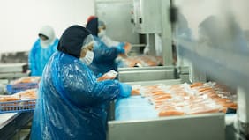 Envíos de salmón registraron su mejor trimestre de la historia: “Da cuenta de una industria que vuelve a tomar impulso”