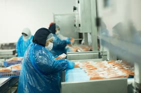 Envíos de salmón registraron su mejor trimestre de la historia: “Da cuenta de una industria que vuelve a tomar impulso”