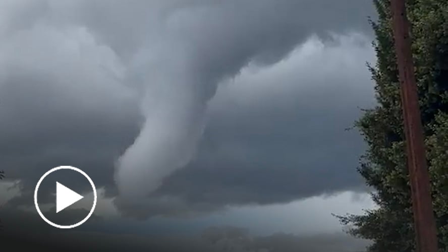 Registran tornado en región del Maule: provocó destrozos y caída de árboles
