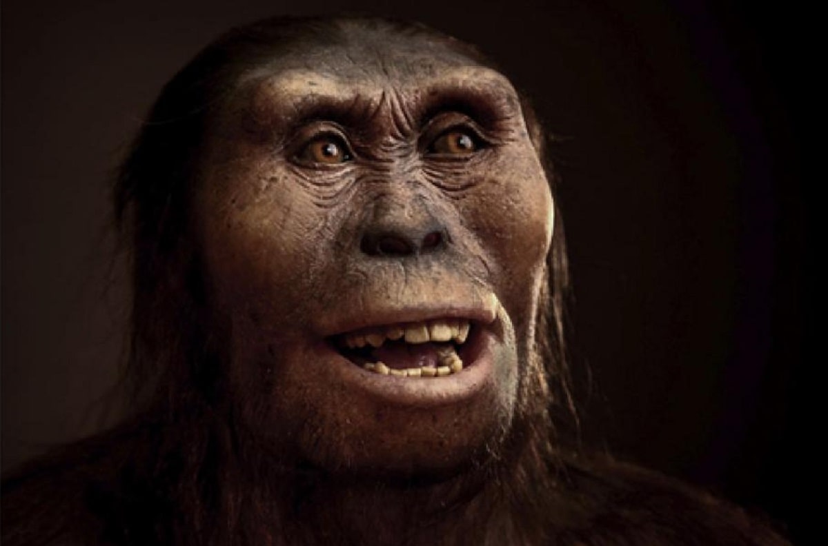 50 años del hallazgo de Lucy, que cambió compresión de la evolución - La Tercera