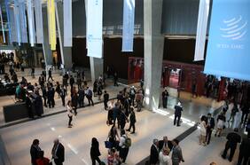 La OMC y su rol en el contexto global