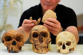 Descubren en Israel un humano prehistórico desconocido