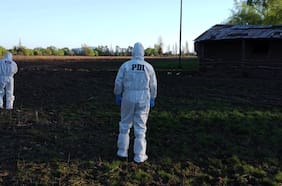 Biobío: encuentran un hombre baleado y un cadáver dentro de un auto calcinado