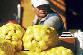 El costo de la vida sigue al alza en Chile: ¿qué está pasando?