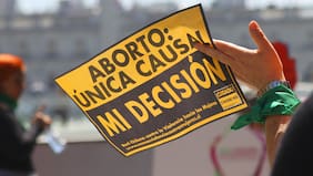 Comisión de Salud de la Cámara aprueba en general proyecto sobre interrupción voluntaria del embarazo