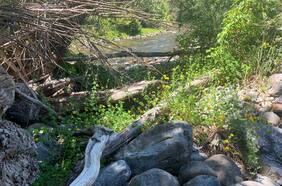 Sequía en lago Caburgua: Alcalde de Pucón solicita a la DGA eliminar y demoler dique que impide el paso del agua