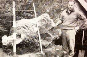 Por primera vez y después de más de 50 años, exhibirán el fascinante fósil de un megaterio encontrado en Conchalí