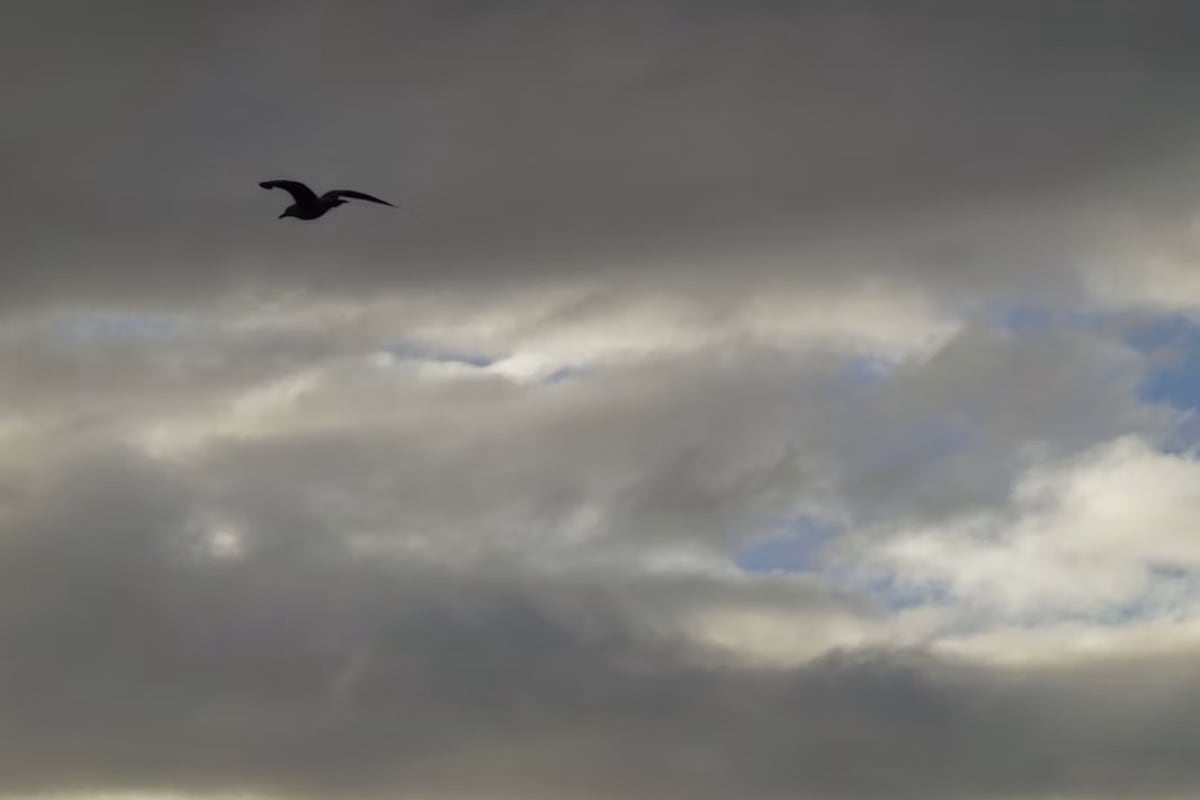 Anuncian un sistema frontal con un río atmosférico categoría 4: cuándo y qué regiones de Chile afectará