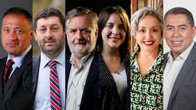 Diputados en busca de su destino: privados con un pie en la política o aspirantes a ministerios
