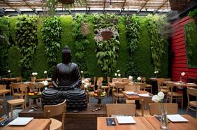 Vietnam Discovery, el primer vietnamita de Santiago ahora está en Vitacura