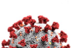 La extraña variación de Covid-19 detectada en Magallanes que intriga a los científicos